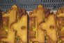 Images 4