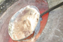 Images 3